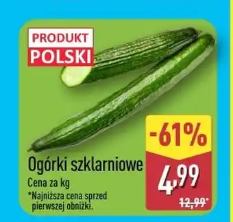 ALDI Ogórki Polski oferta