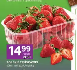 Stokrotka Truskawki polskie oferta
