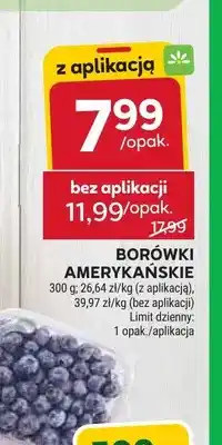 Stokrotka Borówki amerykańskie oferta