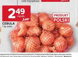 Stokrotka Cebula oferta