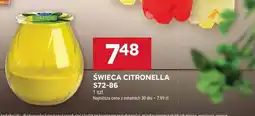 Stokrotka Świeca Citronella S72-86 oferta