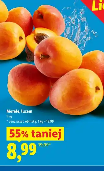 Lidl Morele oferta