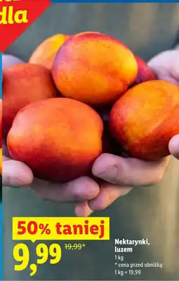 Lidl Nektarynki oferta