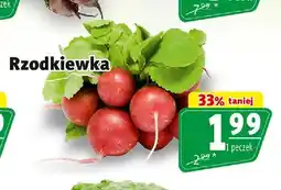 Prim Market Rzodkiewka oferta