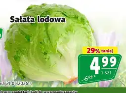 Prim Market Sałata lodowa oferta