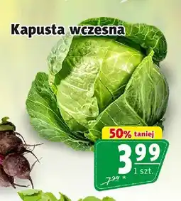 Prim Market Kapusta wczesna oferta
