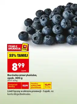 Biedronka Borówka amerykańska Biedronka oferta