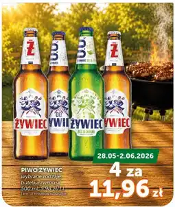 ABC Żywiec Piwo oferta