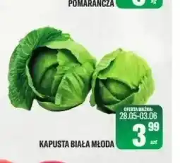 TomiMarkt Kapusta biała młoda oferta