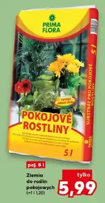 Kaufland Ziemia do roślin pokojowych PRIMA FLORA oferta