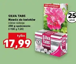 Kaufland Nawóz do kwiatów Silva Tabs oferta