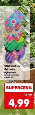 Kaufland Rękawice ogrodowe WORKMANN oferta