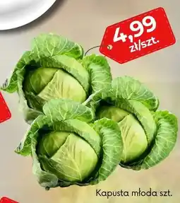 EMMA market Kapusta młoda oferta
