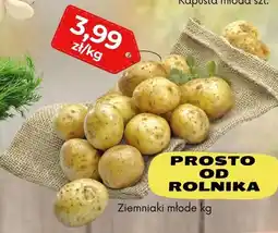 EMMA market Ziemniaki młode oferta