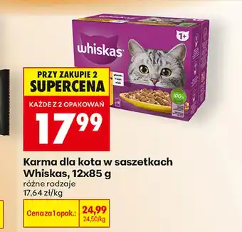 Biedronka Karma dla kota Whiskas oferta