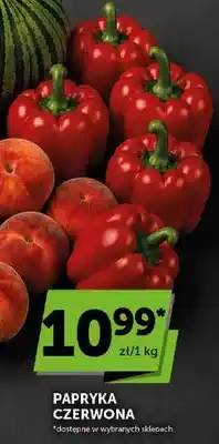 ABC Papryka czerwona oferta