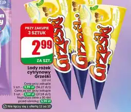 Dino Lody Grześki oferta