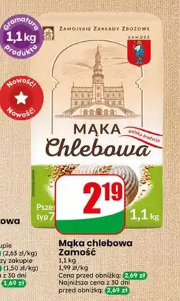 Dino Mąka oferta