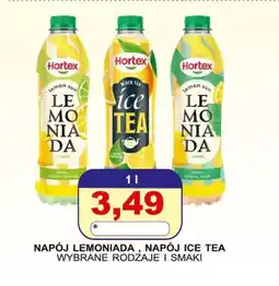 Primus Hortex Napój Lemoniada, Napój Ice Tea oferta