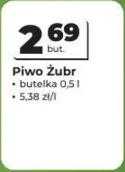 Odido Piwo Żubr oferta