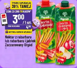 Polomarket Zaczarowany Ogród Nektar z rabarbaru lub rabarbaru i jabłek oferta