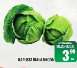 TomiMarkt Kapusta biała młoda oferta