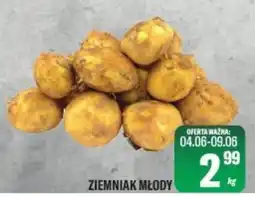 TomiMarkt Ziemniak młody oferta