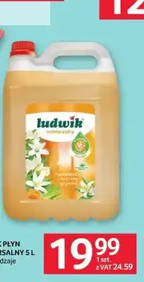 Selgros Ludwik Płyn uniwersalny oferta
