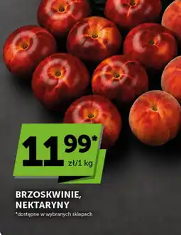 Groszek Brzoskwinie, nektaryny oferta
