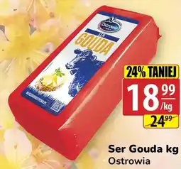 API MARKET Ostrowia Ser Gouda oferta