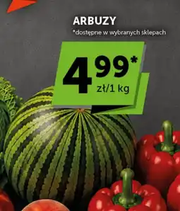 Groszek Arbuzy oferta
