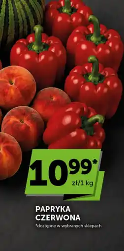 Groszek Papryka czerwona oferta