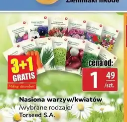 API MARKET Nasiona warzyw/kwiatów Torseed S.A oferta