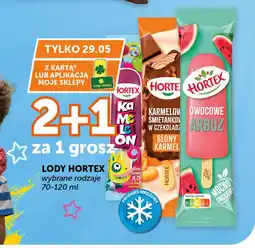 Groszek Hortex Lody oferta