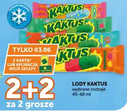Groszek Nestlé Lody Kaktus oferta