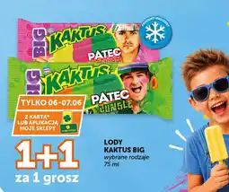 Groszek Nestlé Lody Kaktus Big oferta
