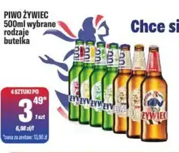 TomiMarkt Żywiec Piwo oferta