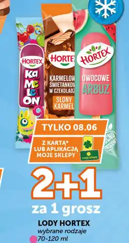 Groszek Hortex Lody oferta