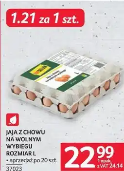 Selgros JAJA Z CHOWU NA WOLNYM WYBIEGU ROZMIAR L oferta