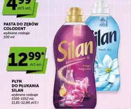 ABC Płyn do płukania Silan oferta