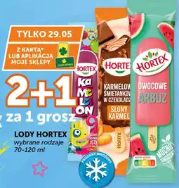 ABC Lody Hortex oferta