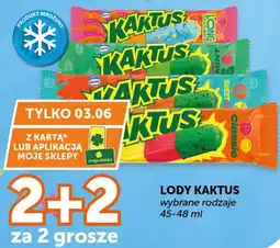 ABC Kaktus Lody wybrane rodzaje oferta