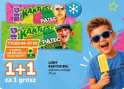 ABC Lody Kaktus Big oferta