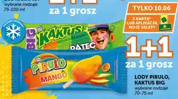 ABC LODY PIRULO, KAKTUS BIG oferta
