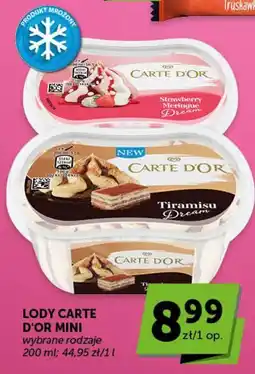 ABC LODY CARTE D'OR MINI wybrane rodzaje oferta