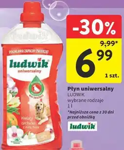 Intermarche Ludwik Płyn uniwersalny oferta