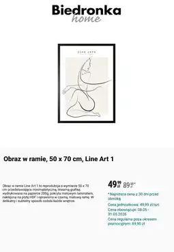 Biedronka Obraz w ramie, 50 x 70 cm, Line Art 1 oferta