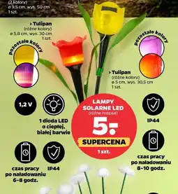Netto Lampy solarne LED Tulipan oferta