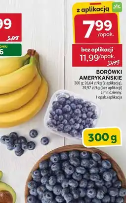 Stokrotka Borówki amerykańskie oferta