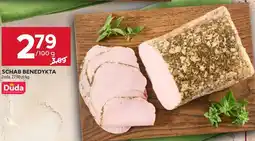 Stokrotka SCHAB BENEDYKTA oferta